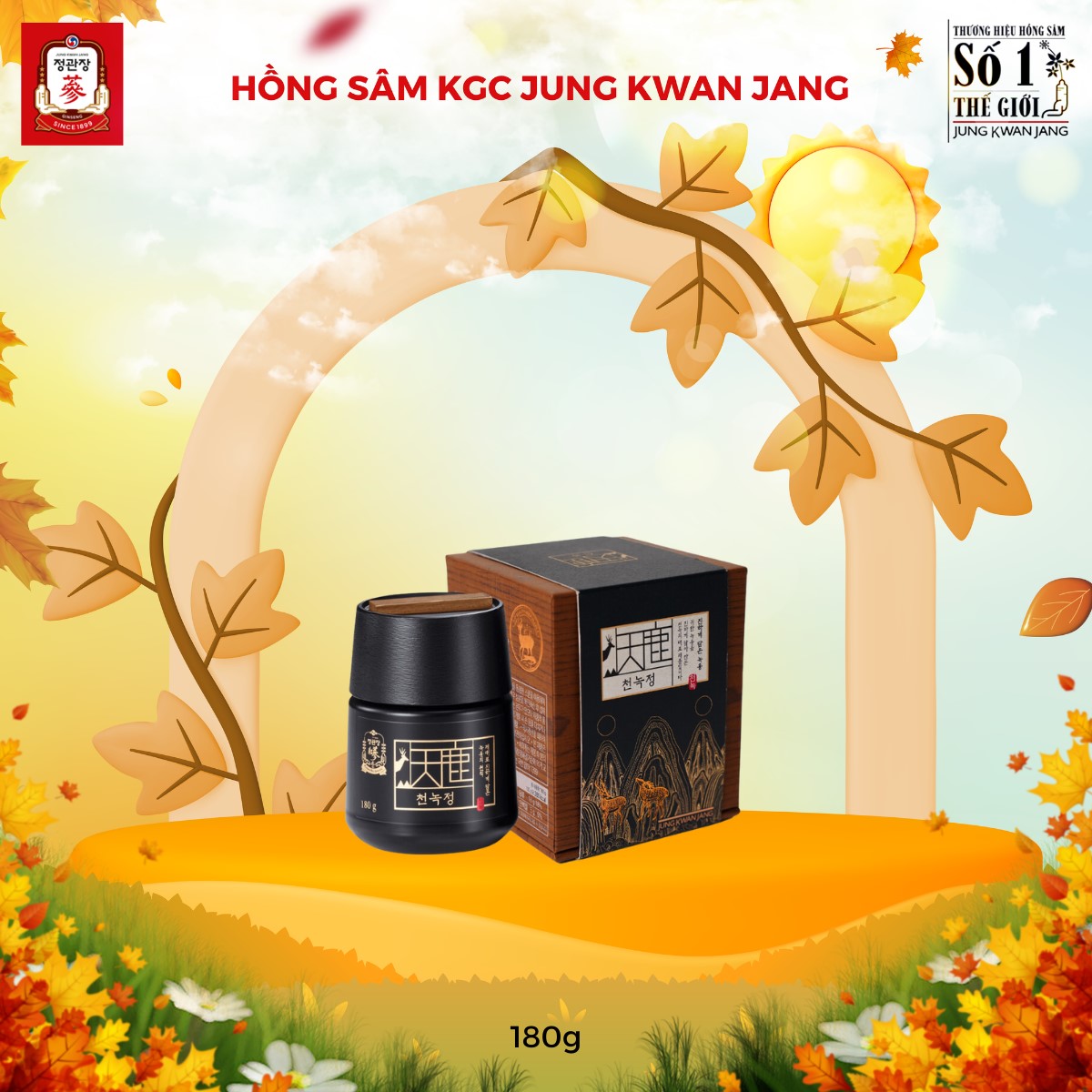 Chuẩn Sâm Korea — cao hồng sâm Hàn Quốc