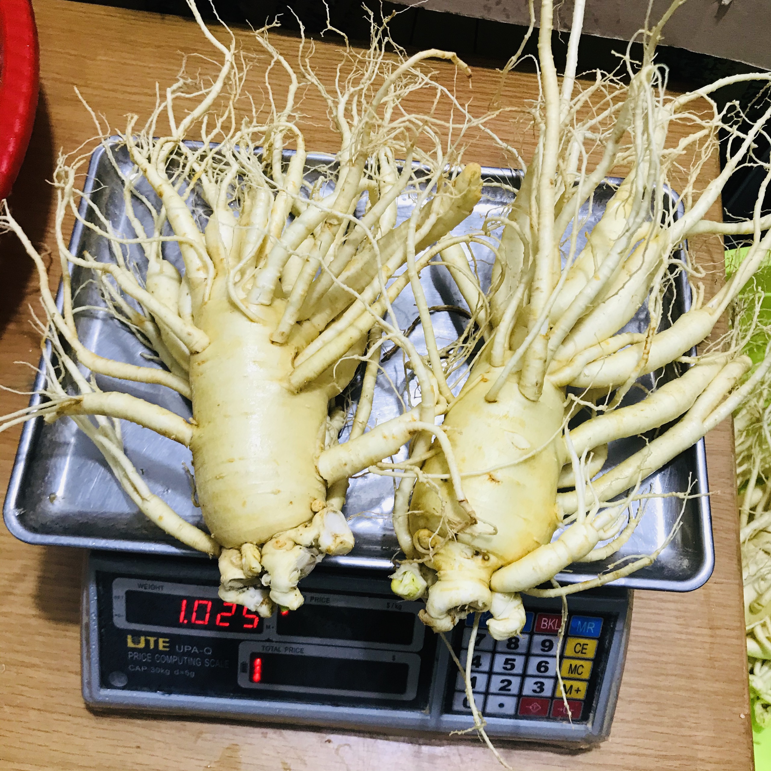SÂM TƯƠI HÀN QUỐC LOẠI 2 CỦ 1 KG